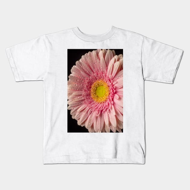 Dew Covered Pink Daisy Kids T-Shirt by photogarry